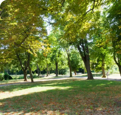Stadtpark in Delitzsch